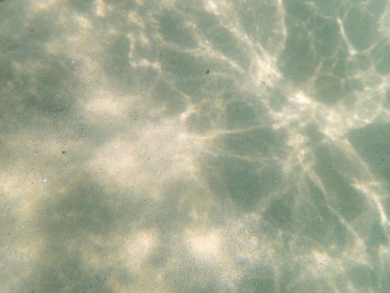 TG-5（オリンパス）｜海の底を撮影